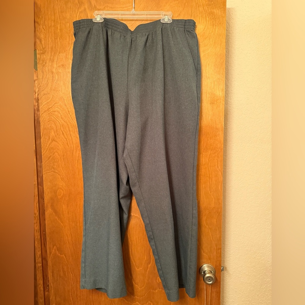 White Stag Gray Plus Pants